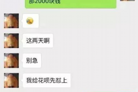 平鲁如果欠债的人消失了怎么查找，专业讨债公司的找人方法